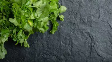 garnishing-instructions-image